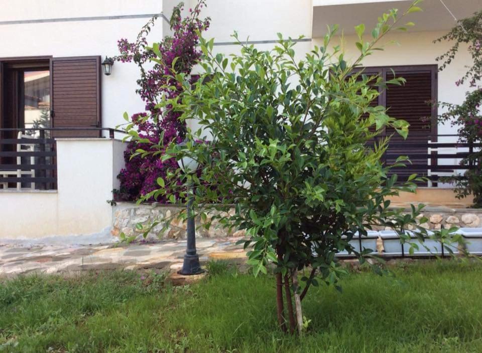 Hotel Natali ديرمي المظهر الخارجي الصورة